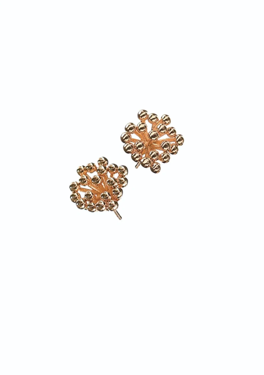 Hot Tomato Sweet Cicely Studs