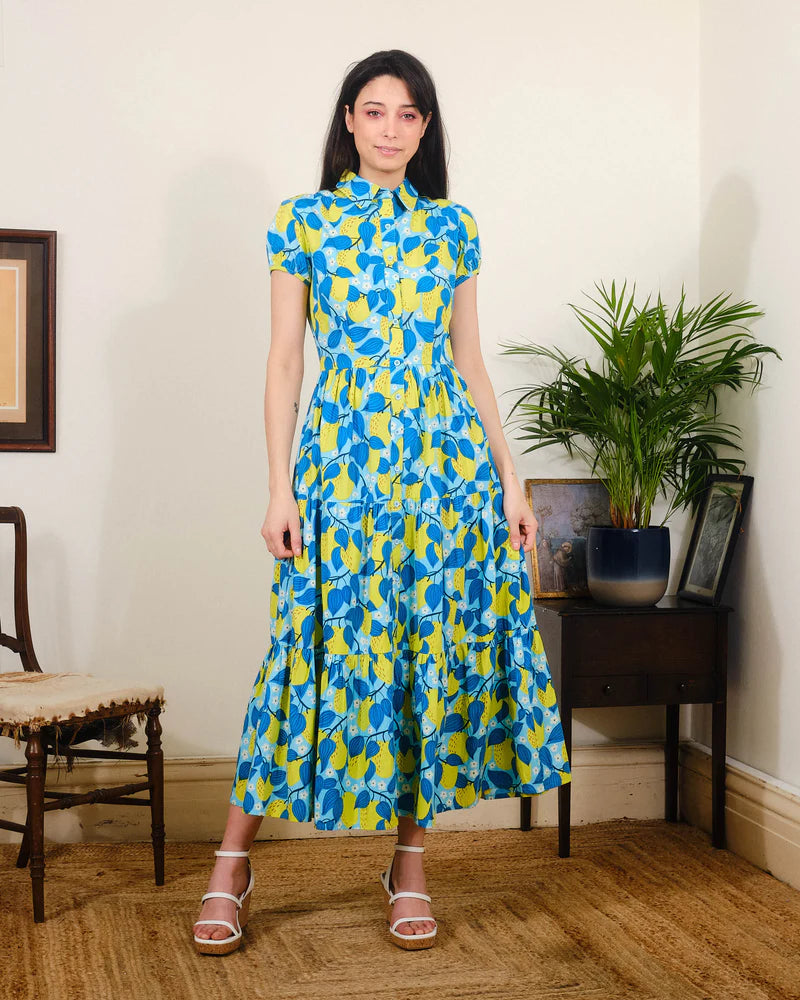 Pretty Vacant Apple Blossom Molly Dress